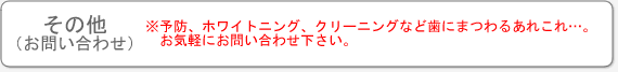 ���̑��i���₢���킹�j