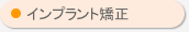 �C���v�����g����