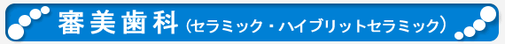 �R�����ȁi�Z���~�b�N�E�n�C�u���b�g�Z���~�b�N�j
