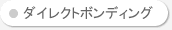 �_�C���N�g�{���f�B���O